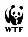 wtf logo